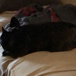 Meet your Posher, Dorothy